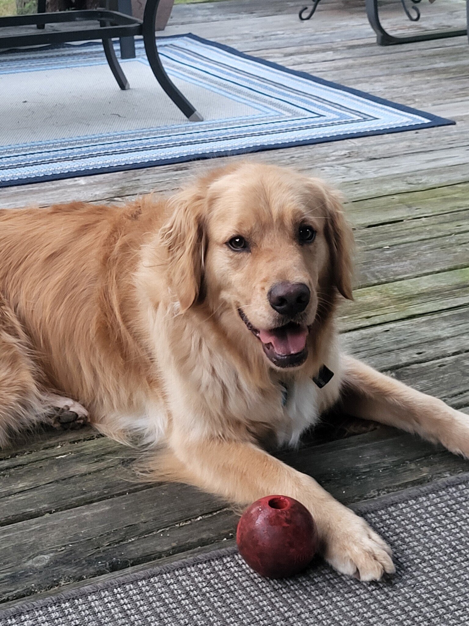 Riley with  ball.jpg
