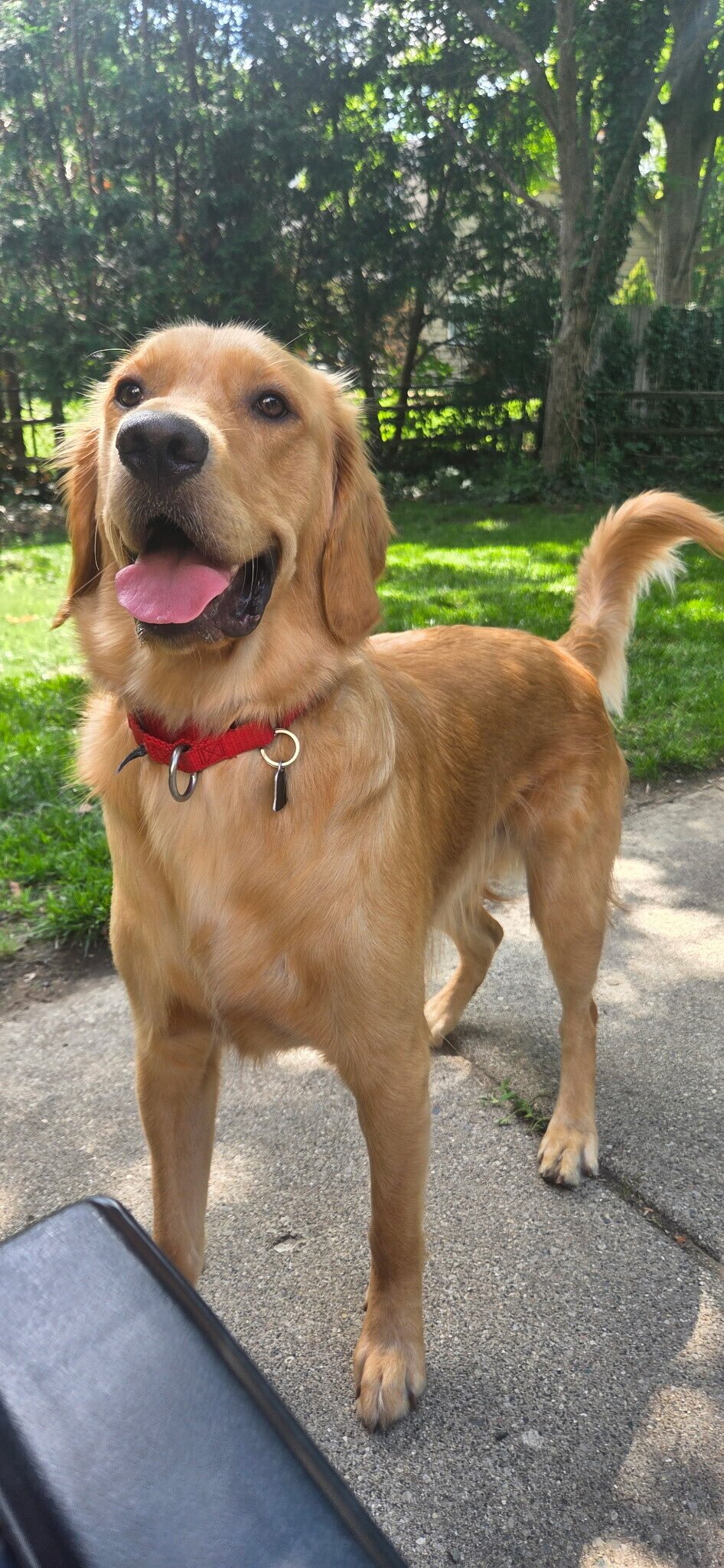 Tucker
