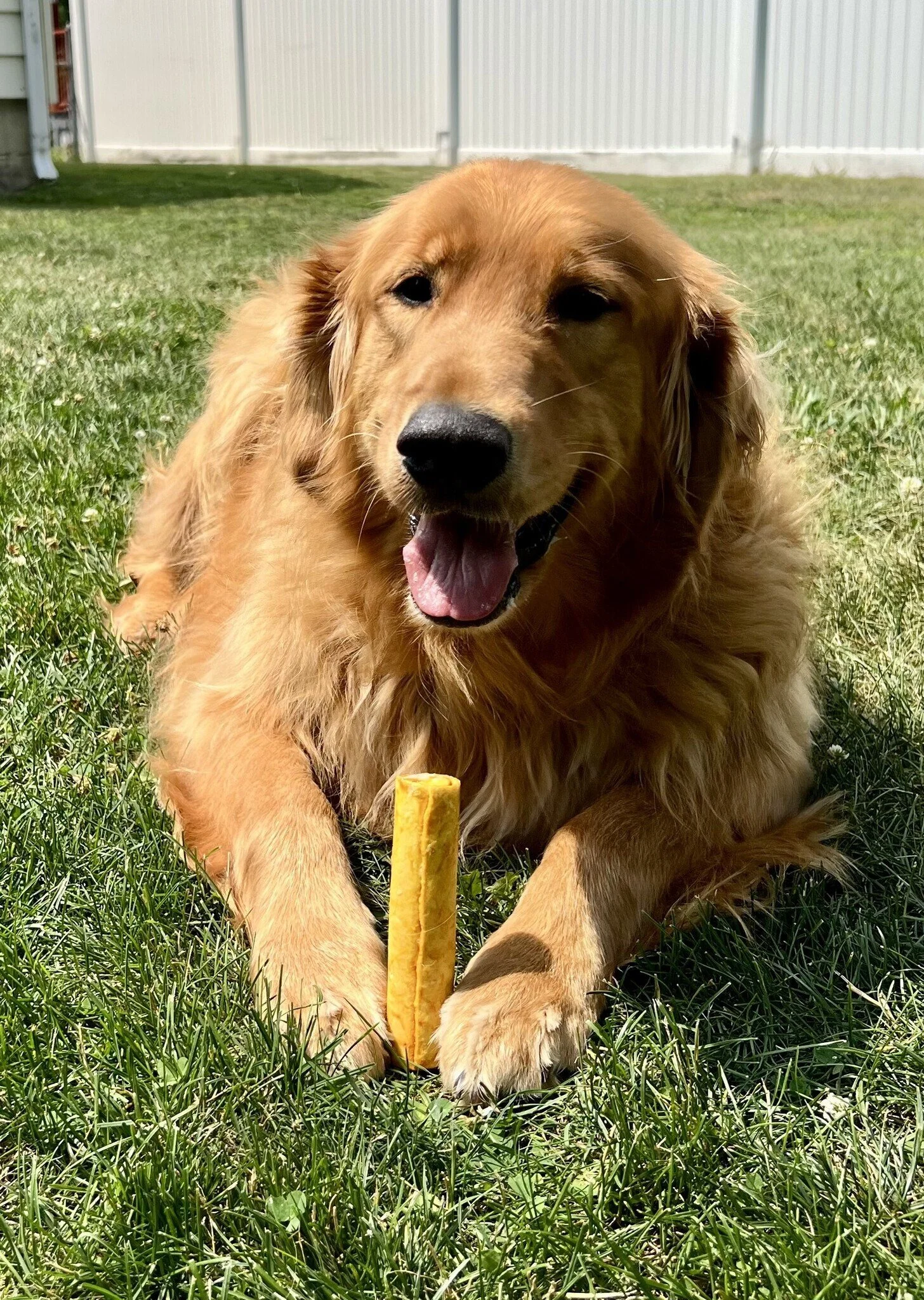 Jake