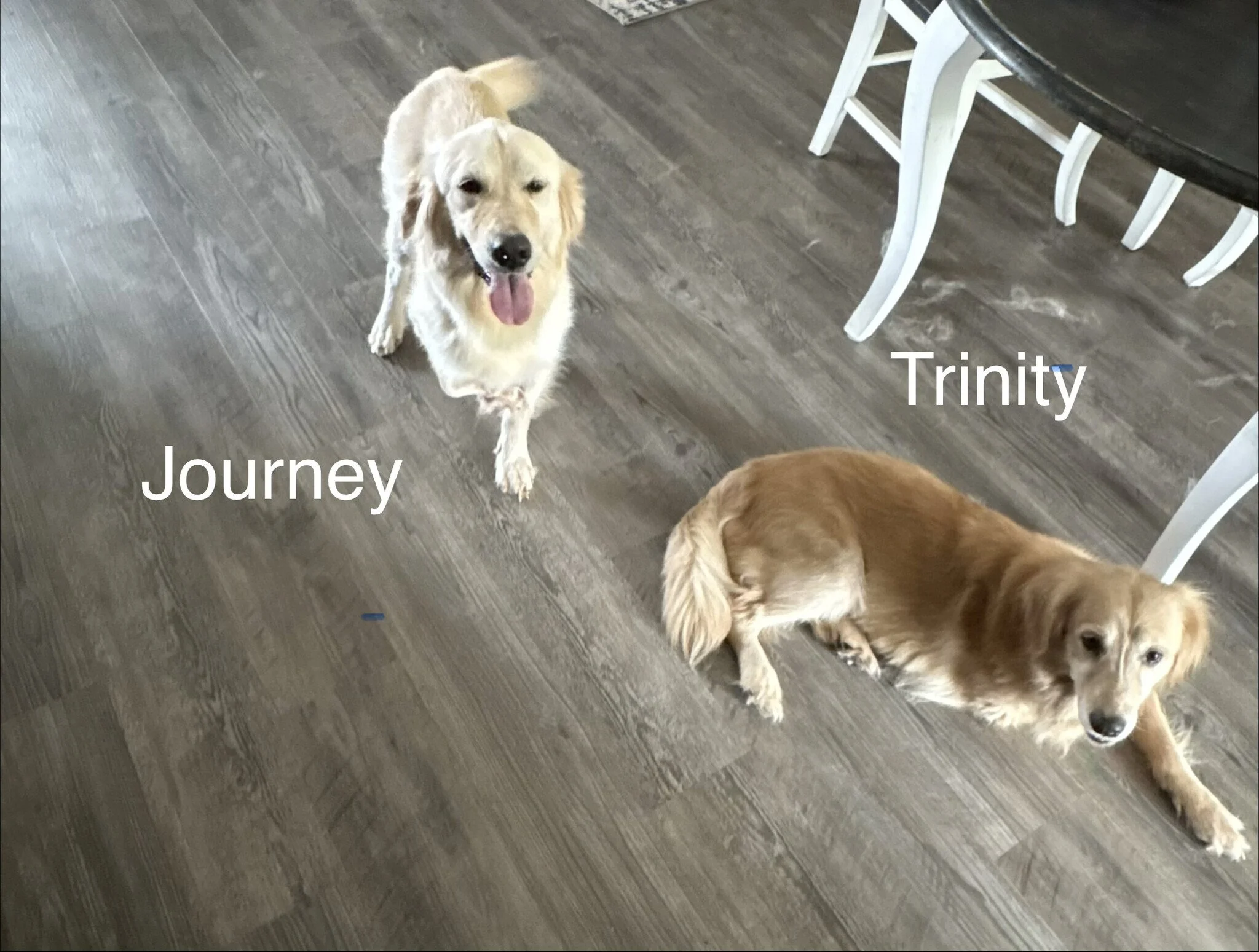 Trinity &amp; Journey