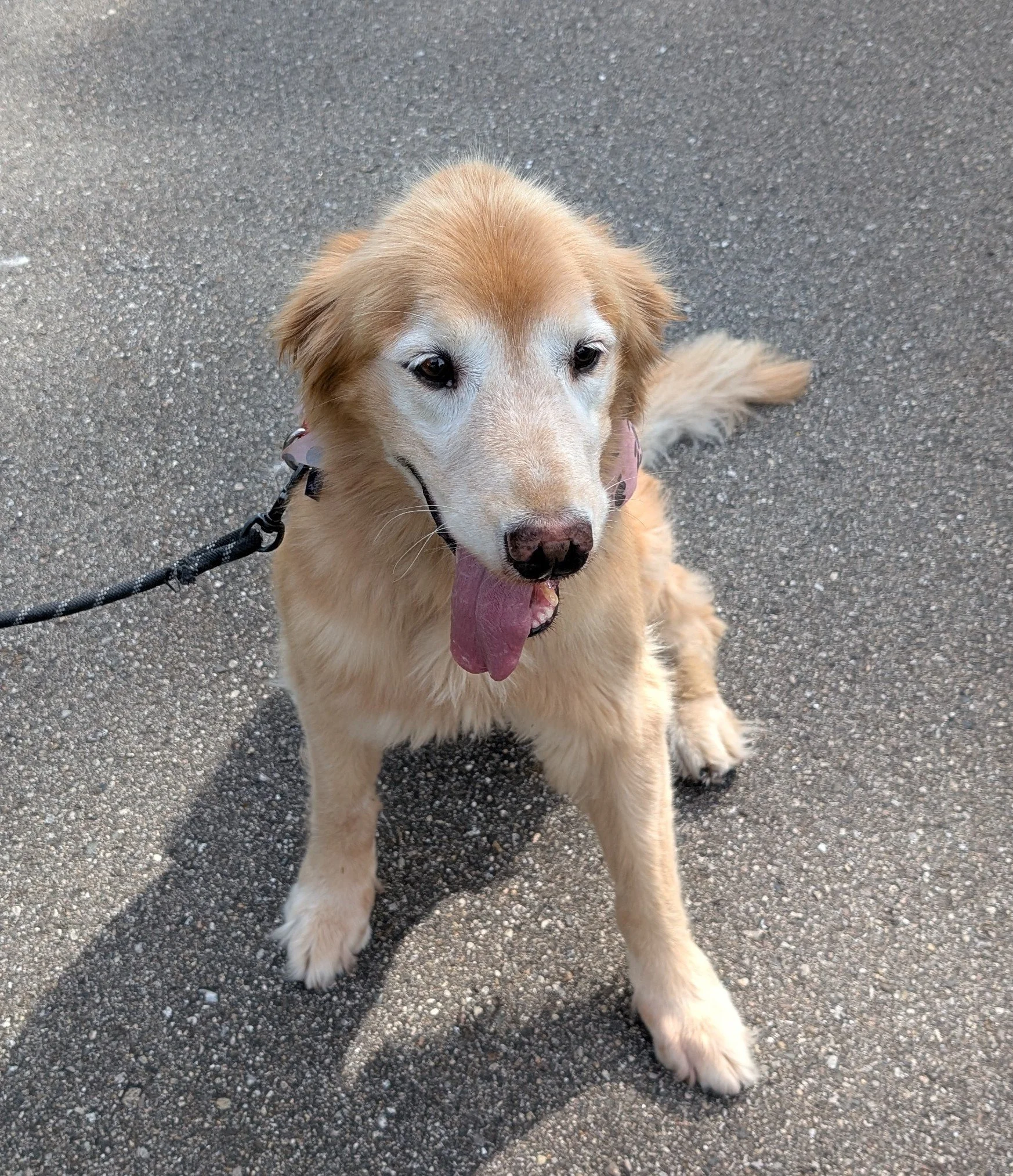 Maggie