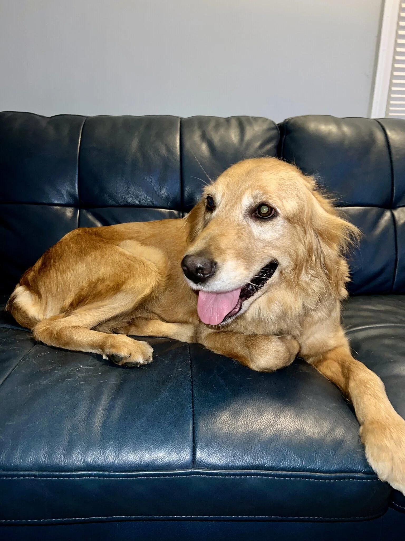 Asia on couch.jpeg