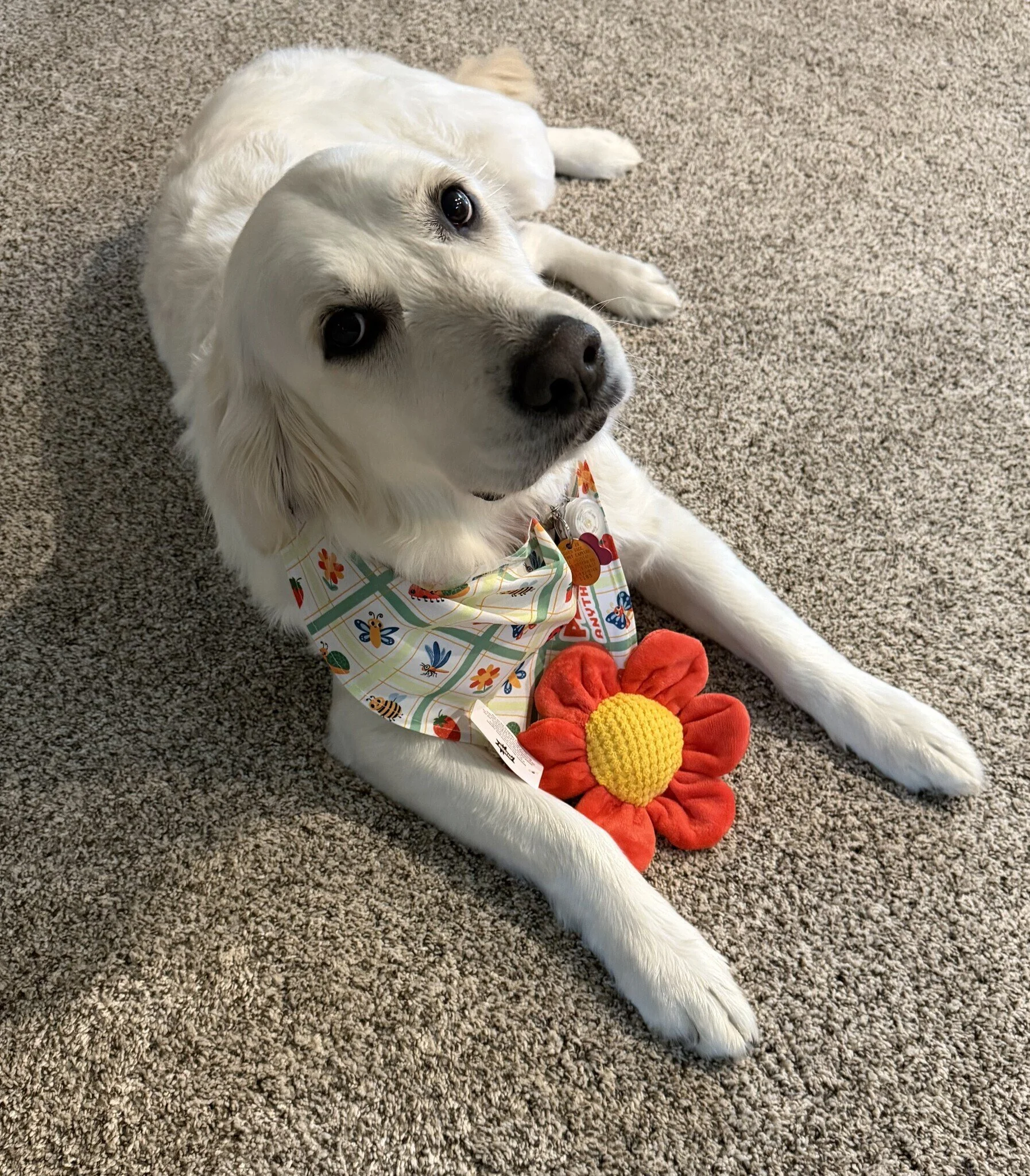 Zoe