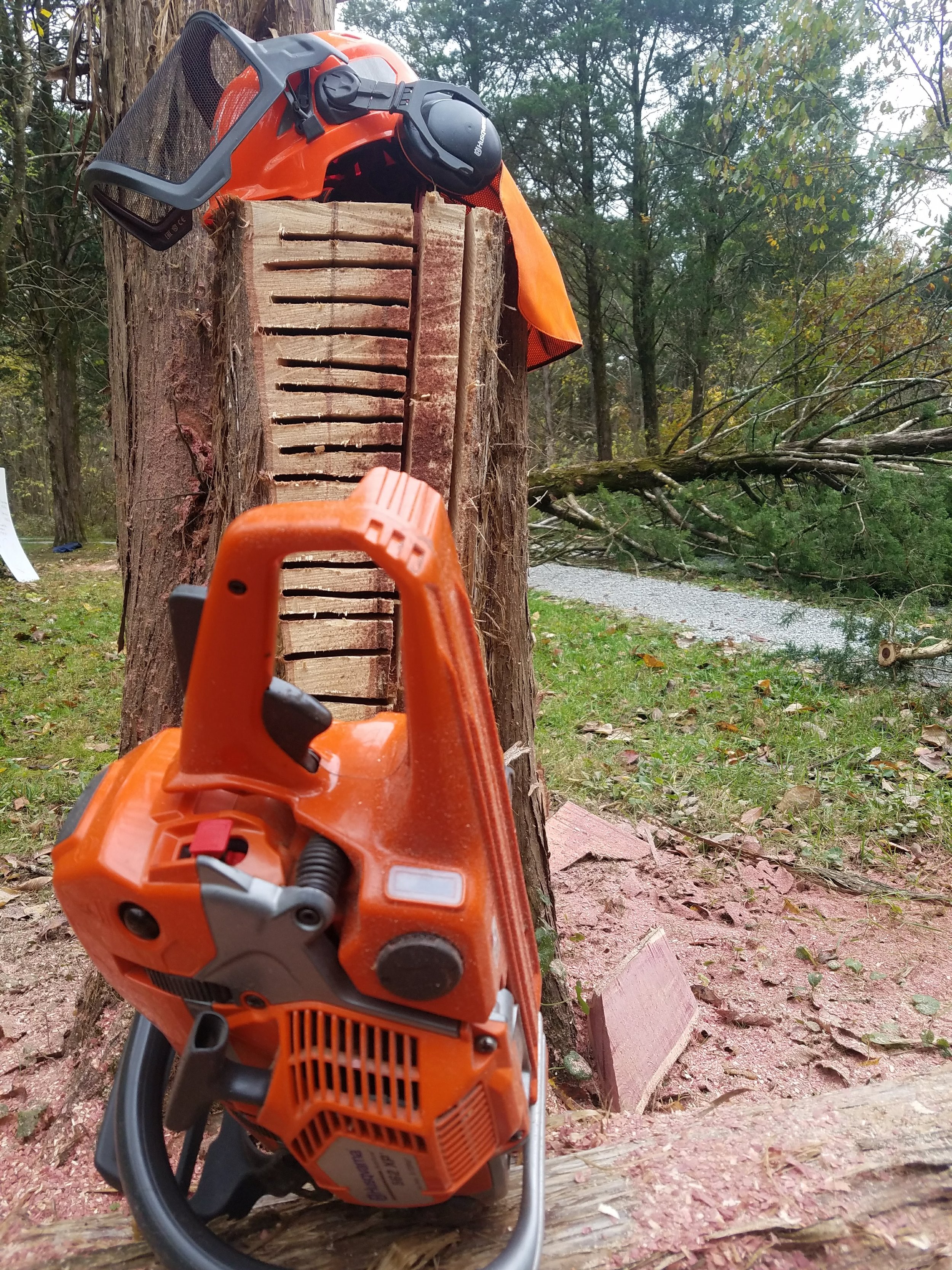Chainsaw Skills Workshop: Level I 