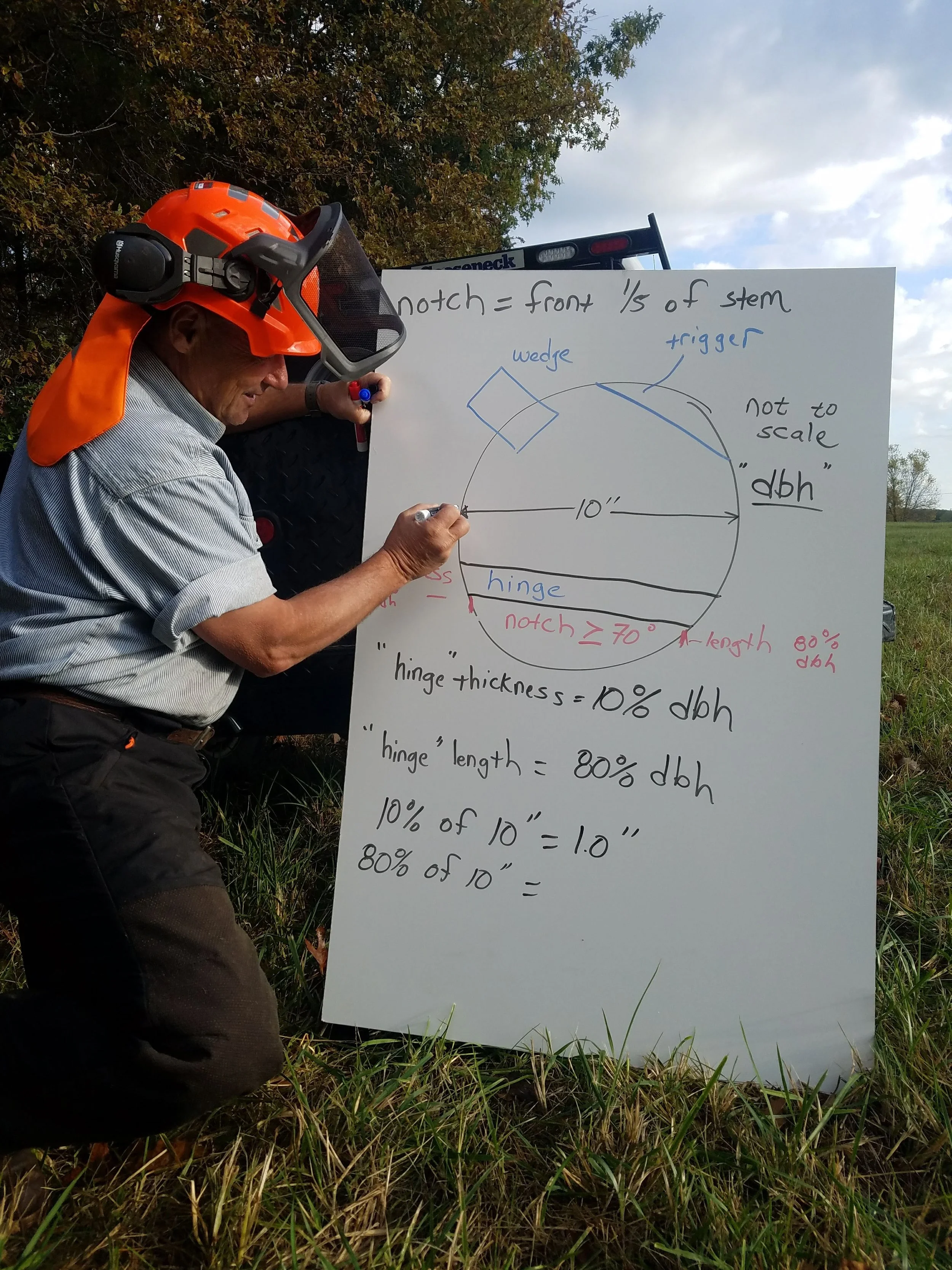 Chainsaw Skills Workshop: Level I  (Copy)