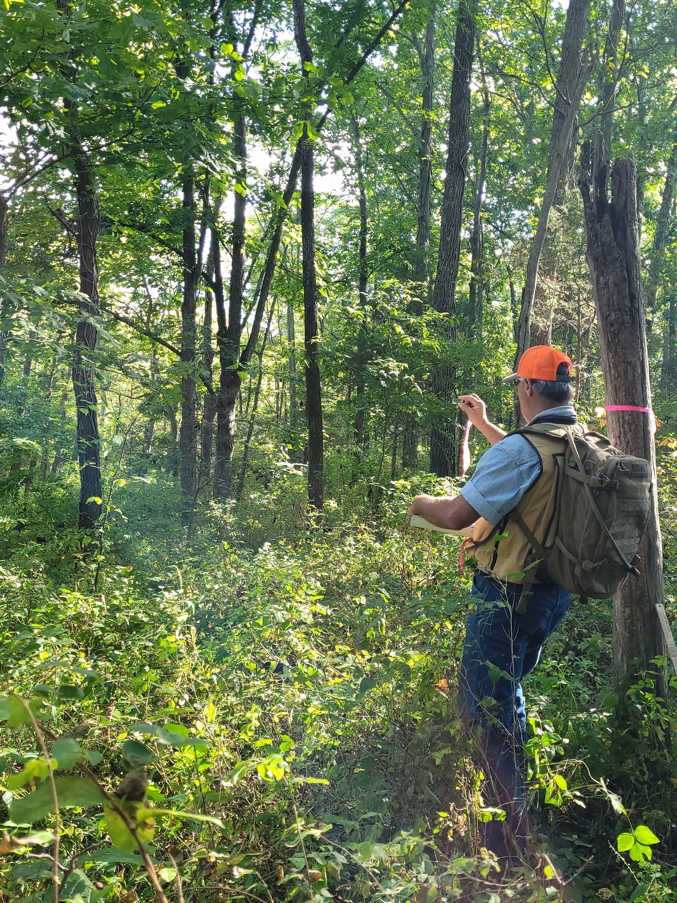 Practical Farm Woodland Management