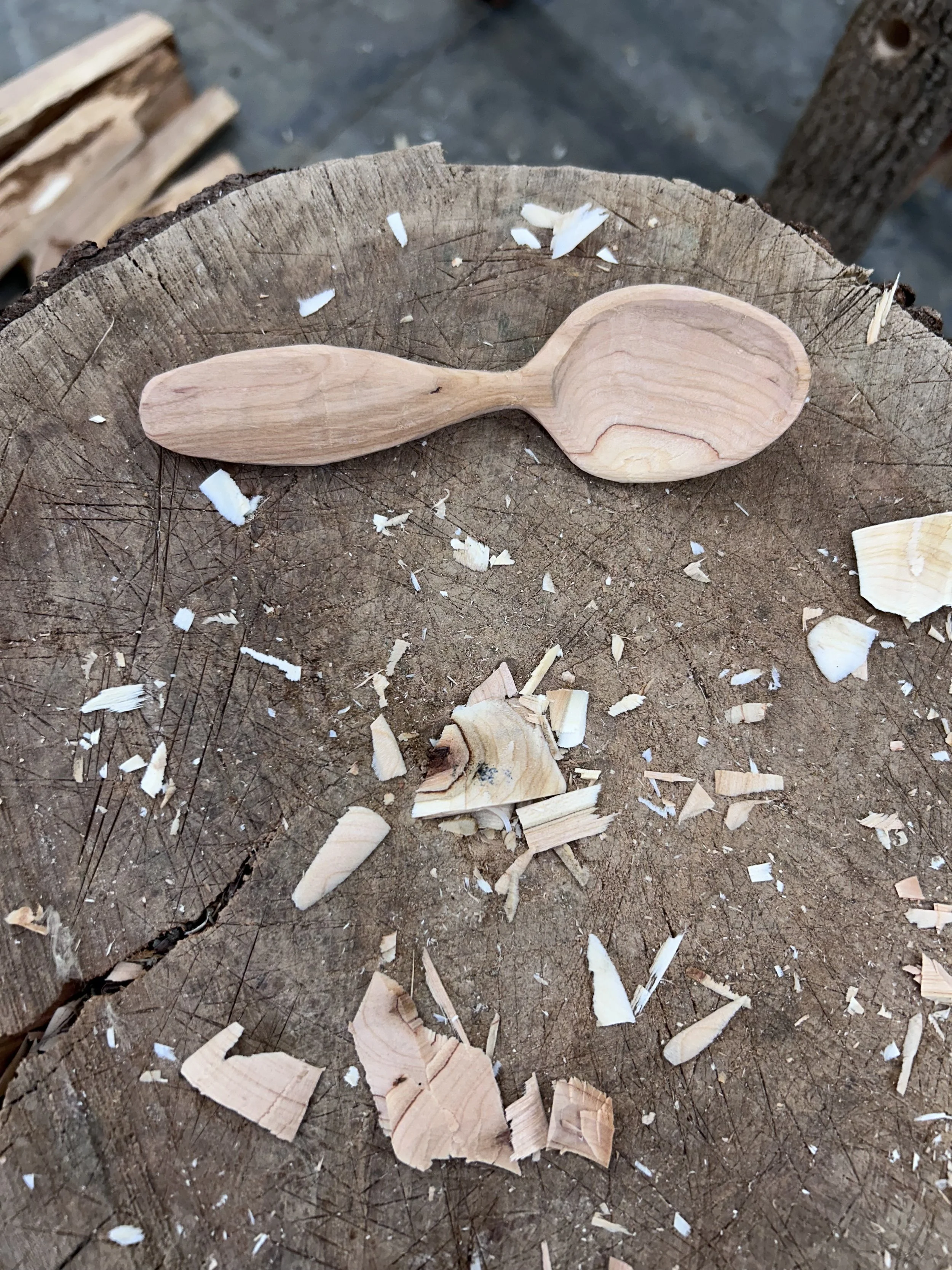 Green Woodworking Series: Spoon Carving