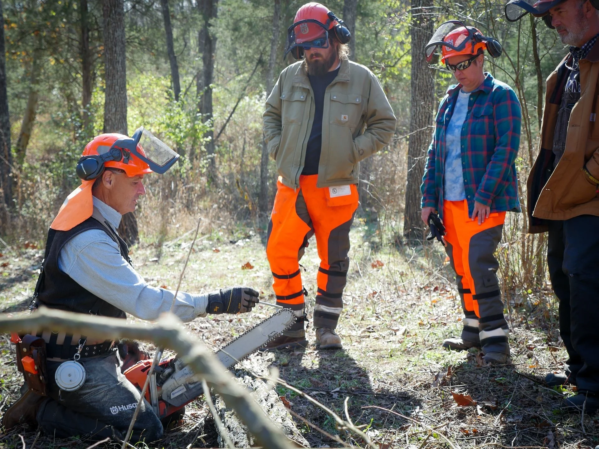 Chainsaw Skills Training: Introduction to Chainsaw Safety & Directional Tree Felling