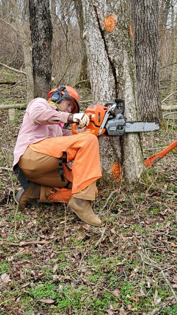 Chainsaw Skills Training: Introduction to Chainsaw Safety and Directional Felling