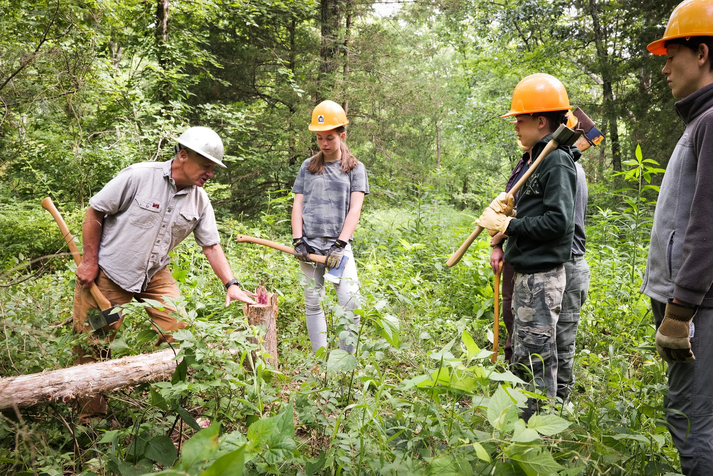 Photo by Ben Aguilar. In the understory of a wooded are, the woodland instructor with a silver hardhat shows 3 youths with orange hard hats and axes the stump of a felled red cedar tree. The youths are looking at the stump as the teacher speaks.