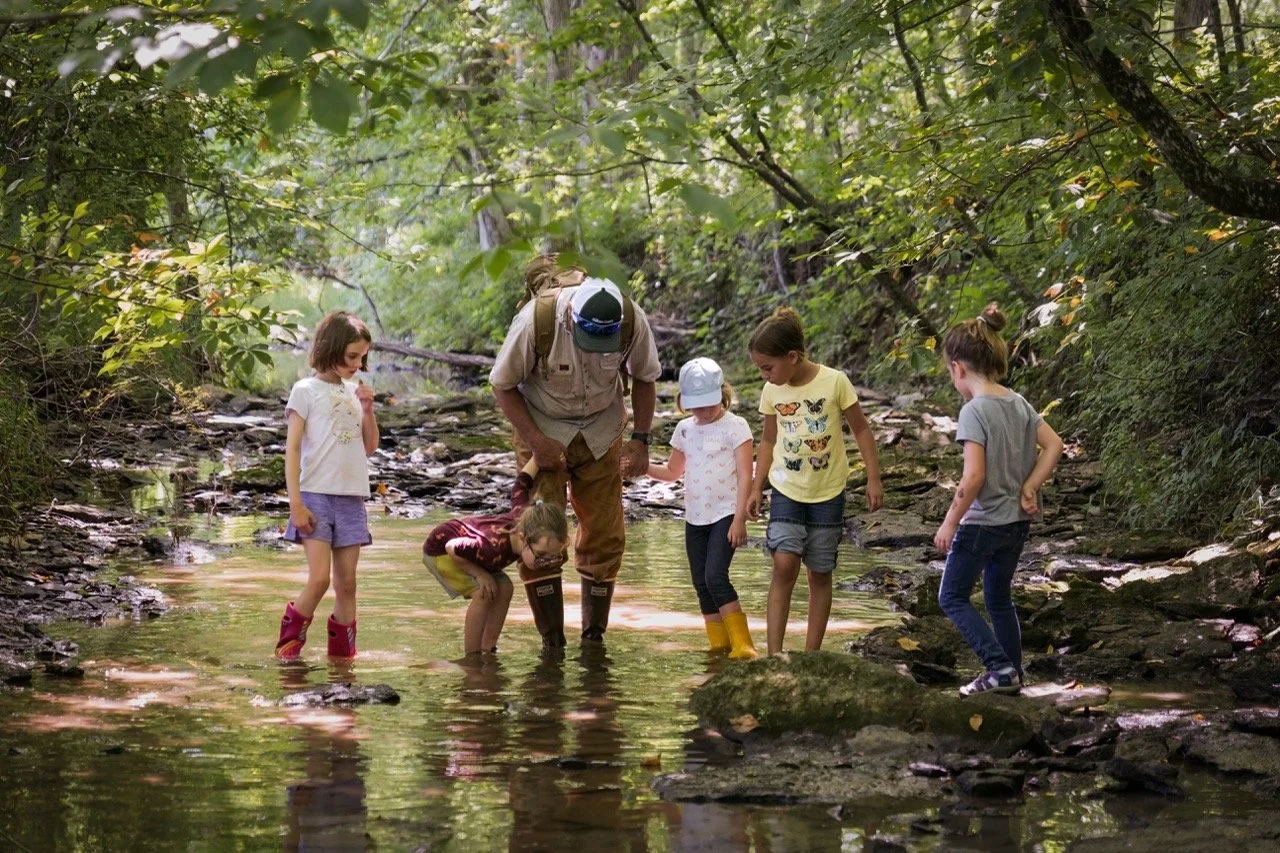 Photo by Shannon Boyd. One adult and 5 children aged 5-7 are standing in a creek bed that is shaded by green trees. They are looking down into the water. Sunlight reflects off the water behind them. 