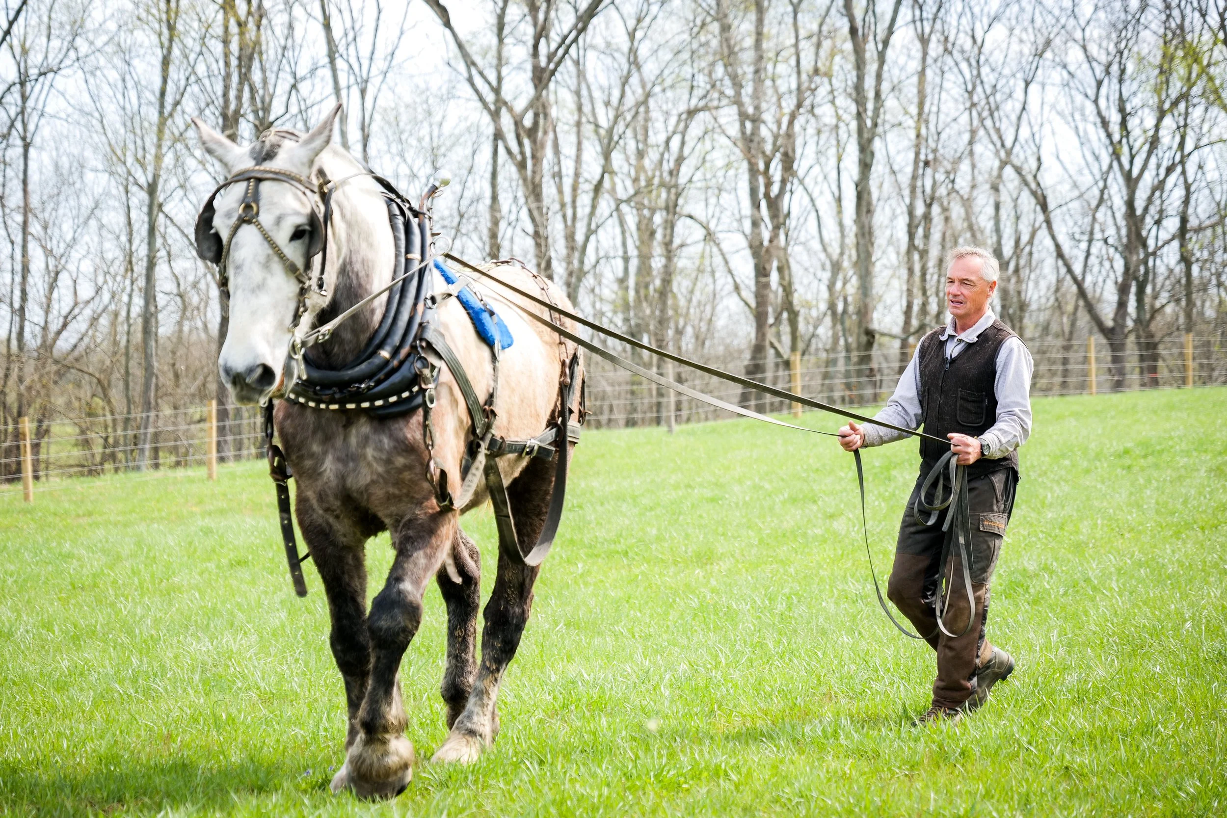 Intro to Horse Teamsters Skills: Driving Principles I