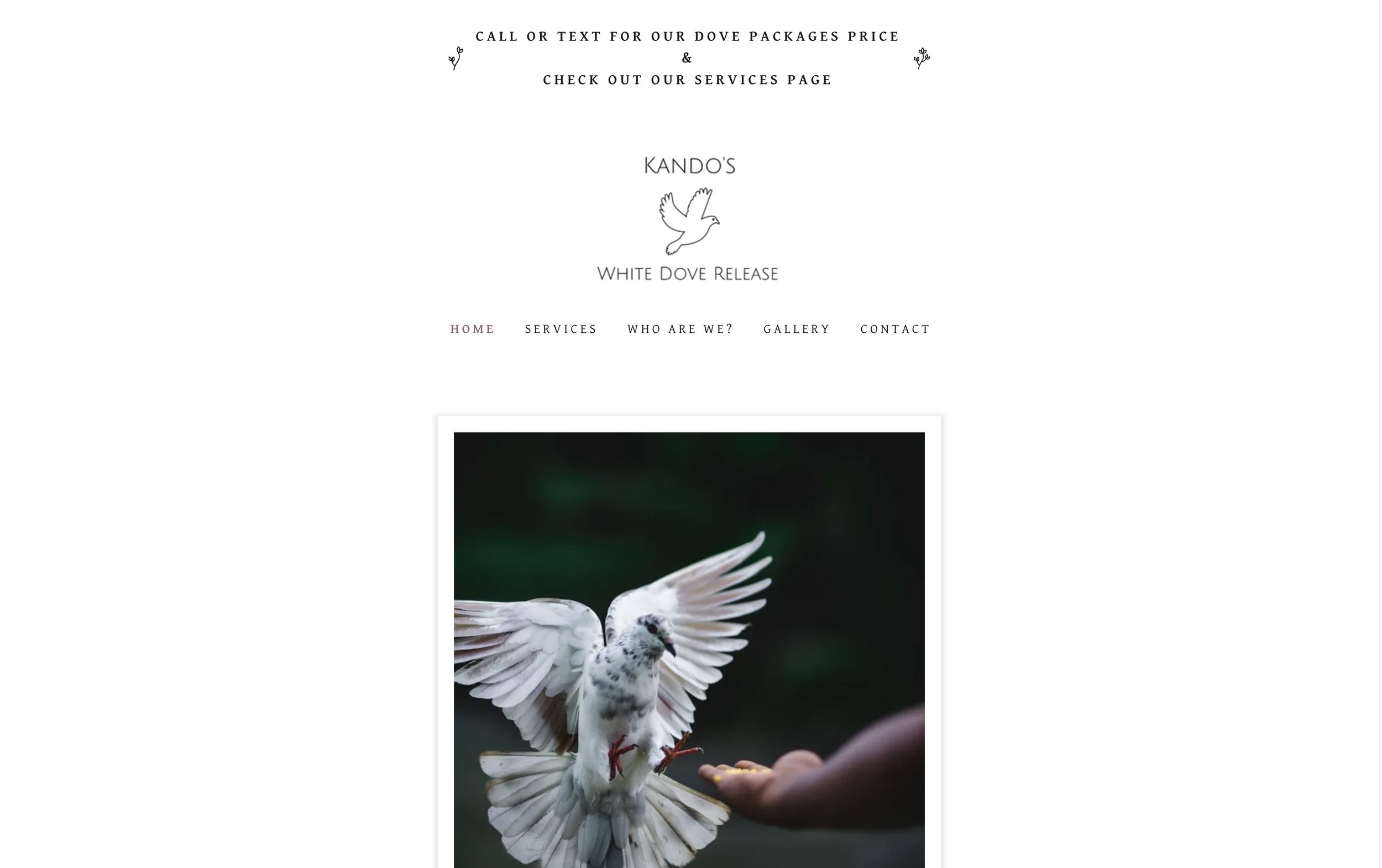 Top White Dove Release Companies in Los Angeles, CA — Dove Release Near Me