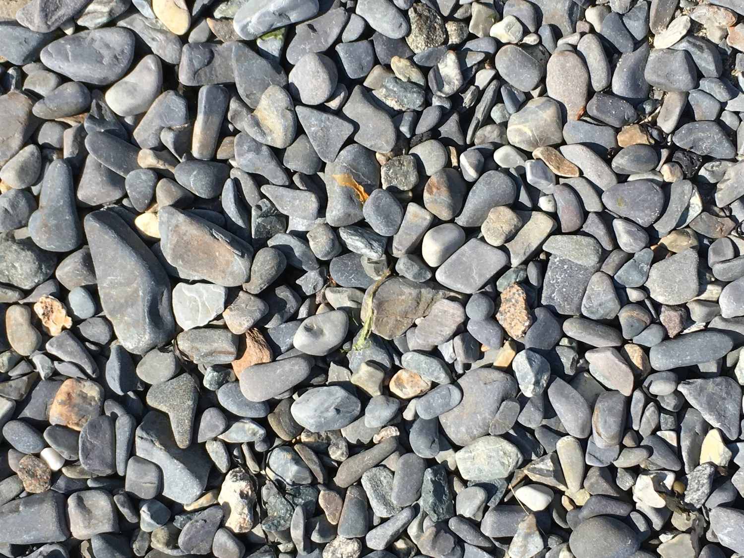 Leadership — Sea Road Church