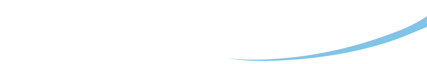 The Southern Co., Inc.