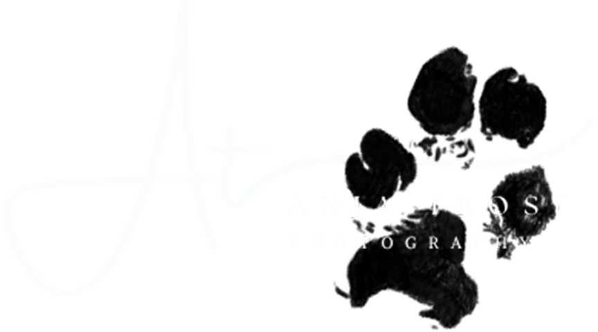 Anja Trost Photography