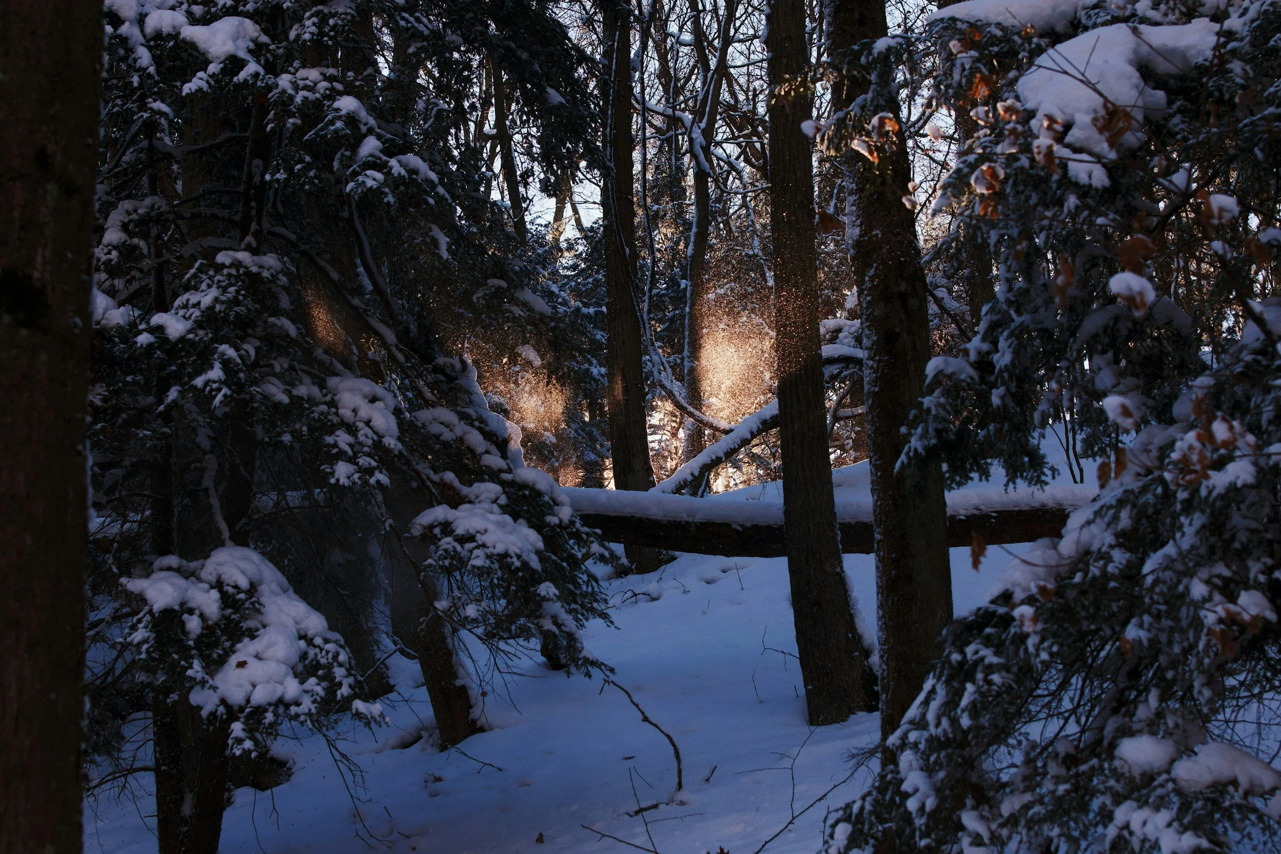 unsplash-image-VgOkyxiPJ0o.jpg