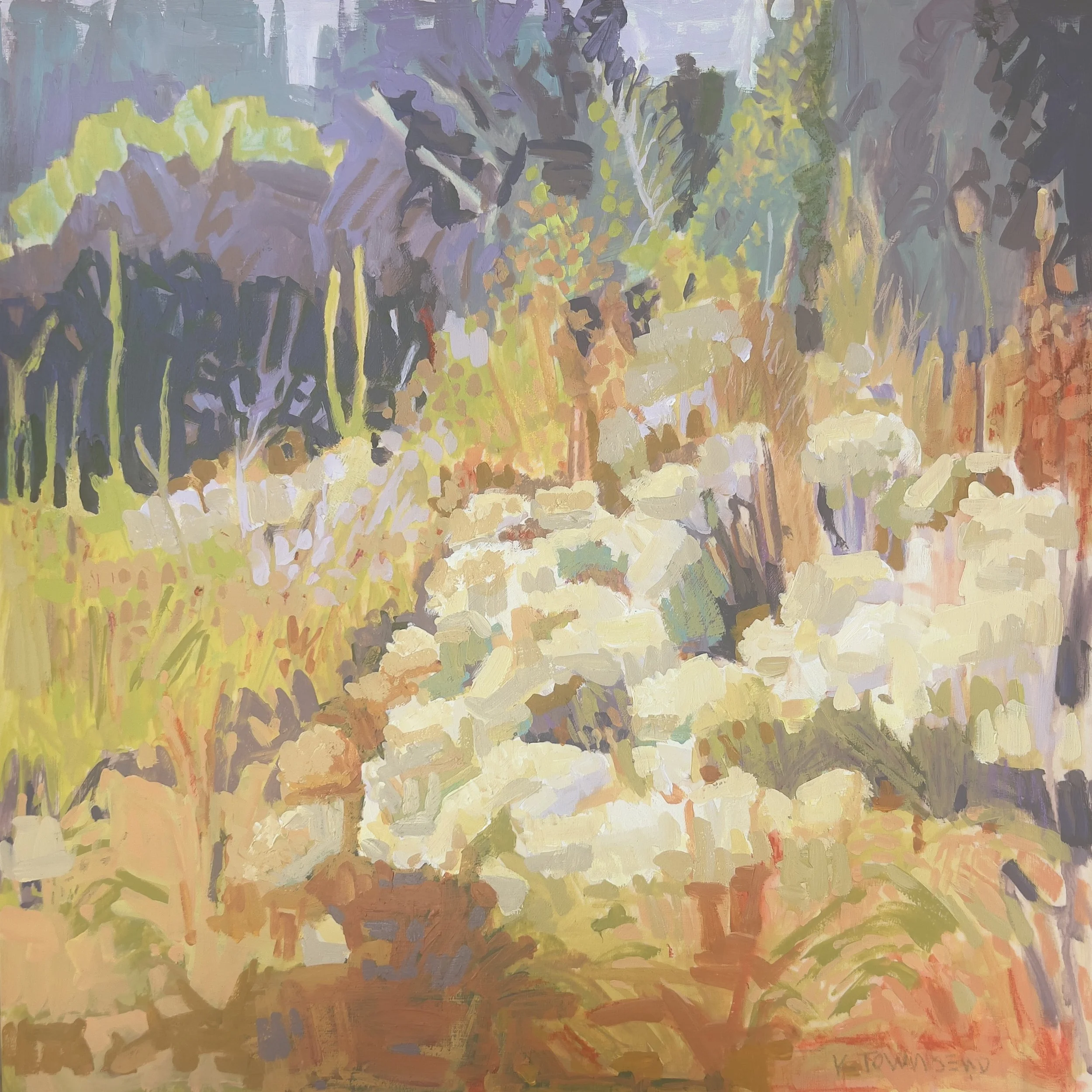 A warm colored landscape with puffy white doveweed flowers in the foreground and juts of weeds and grasses and trees in the background.