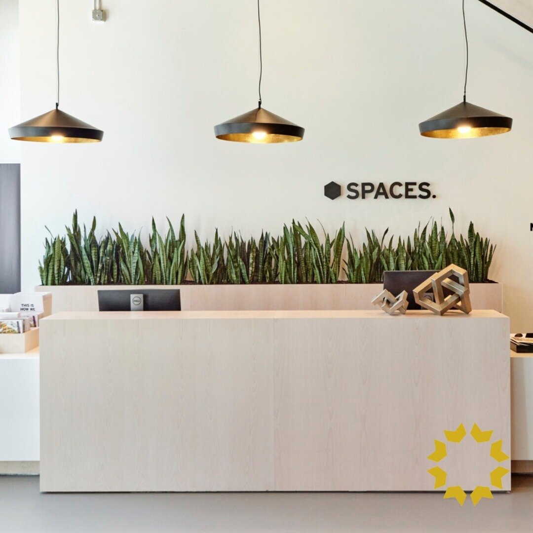 👨&zwj;💻 Attention all entrepreneurs, freelancers, and remote workers! ​⁠
⁠
Have you checked out @spaceworks co-working space at King George Hub? 🤔 ​⁠
⁠
With flexible membership options, high-speed wifi, and state-of-the-art amenities, it&rsquo;s t