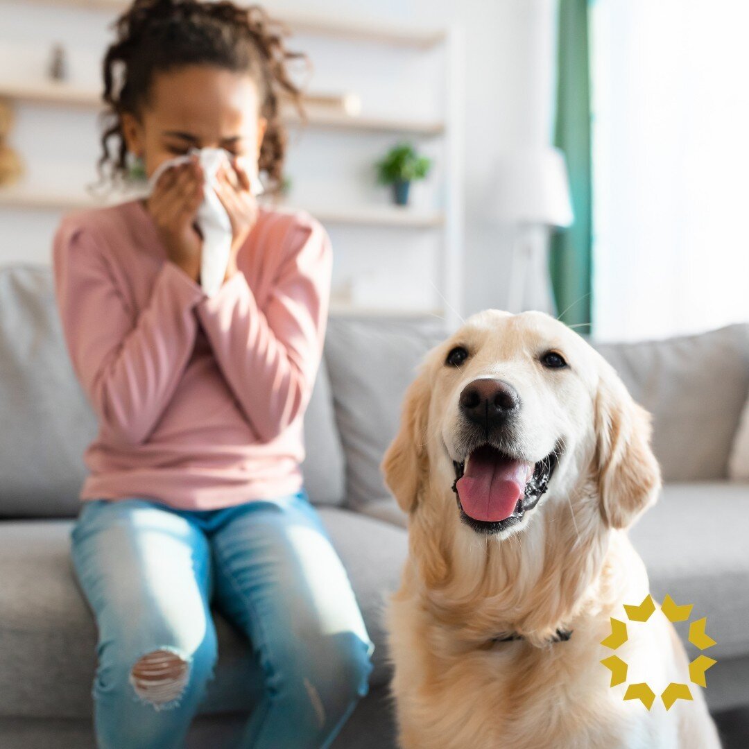 Sun, blue sky, green grass&hellip; and sniffling, sneezing and itchy eyes! 🥴​⁠
⁠
It&rsquo;s allergy season in Surrey! 🌱​⁠
⁠
Don&rsquo;t let it get you down! Head to @rexalldrugstoreofficial at King George Hub and get all the meds and supplies you n