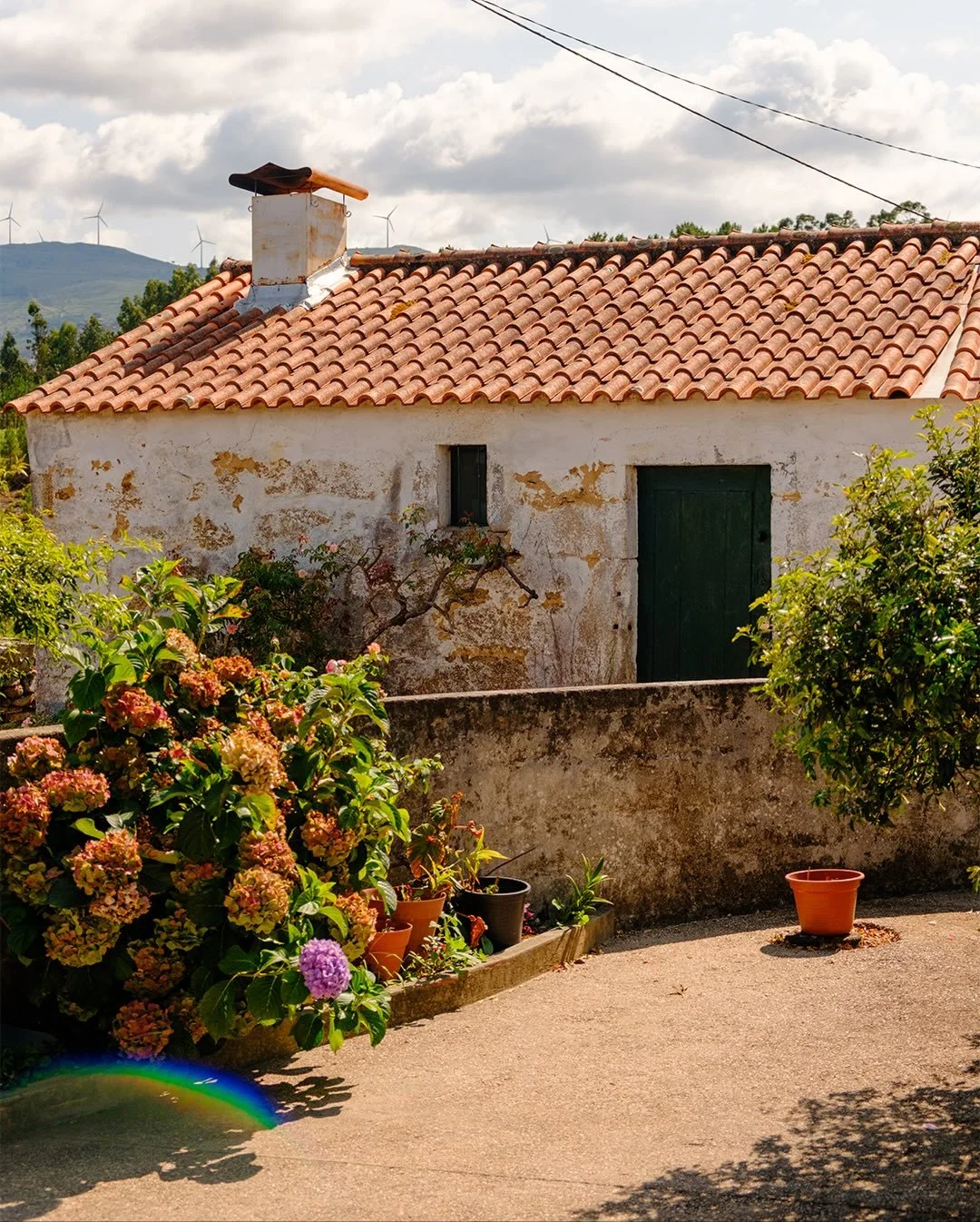 🇵🇹 Gondomil, Portugal &bull; August 20, 2024 &bull; Fuji X-T5

Back in Gondomil, we visited Emily&rsquo;s grandfather up on the hill, adored sleeping cats, and made a stop at the village cemetery, where generations of Emily&rsquo;s paternal ancesto