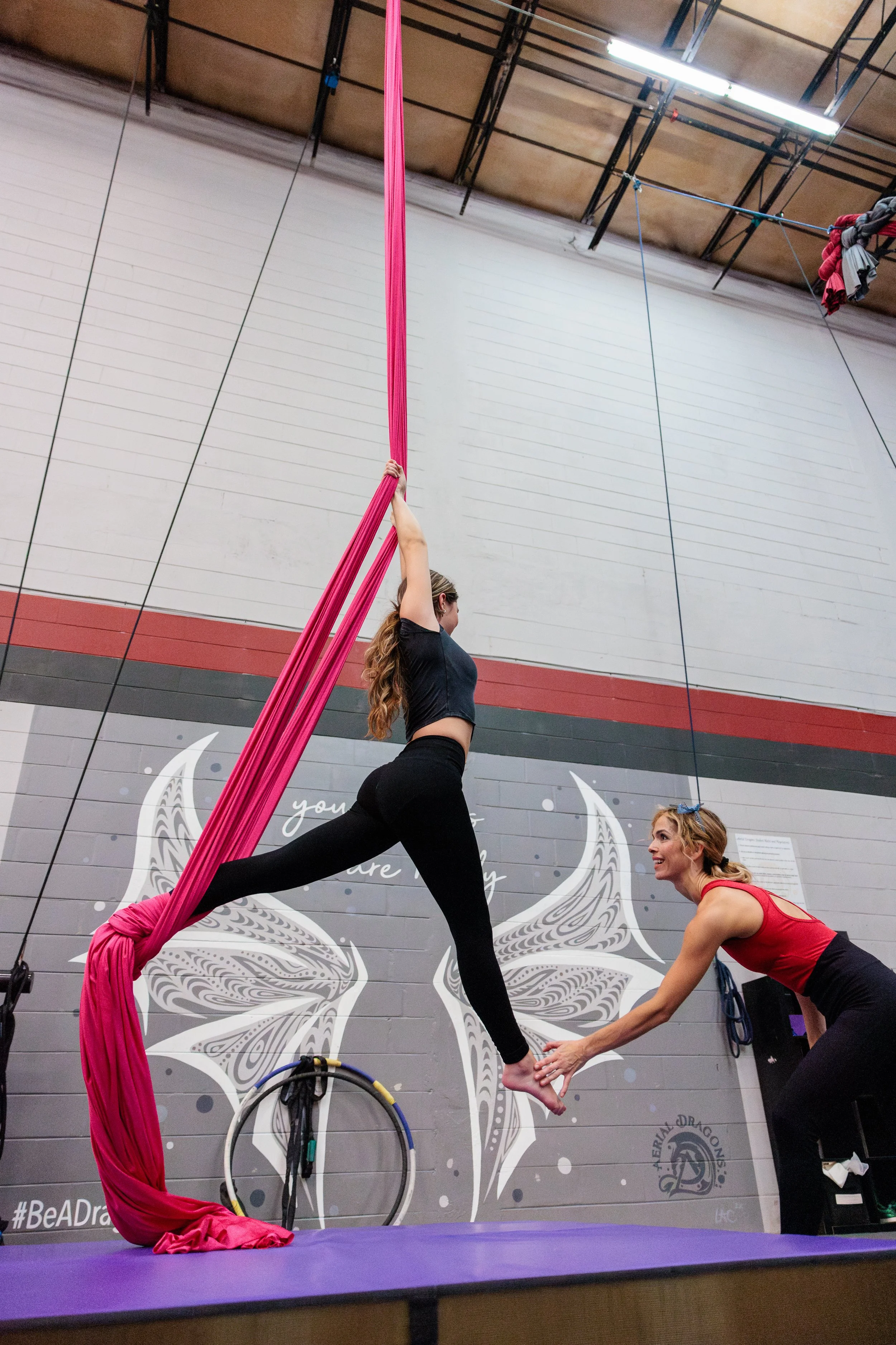 Lyra, Aerial Class