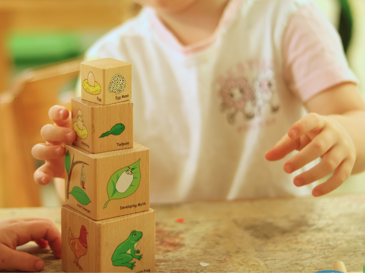 STEM learning Taree daycare