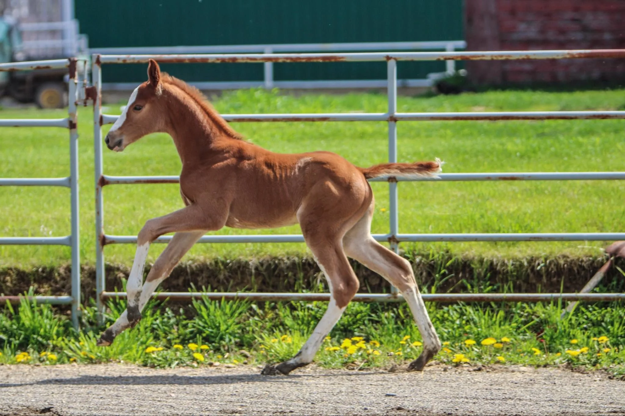 WhatsApp Image 2025-05-26 at 13.05.49.jpeg