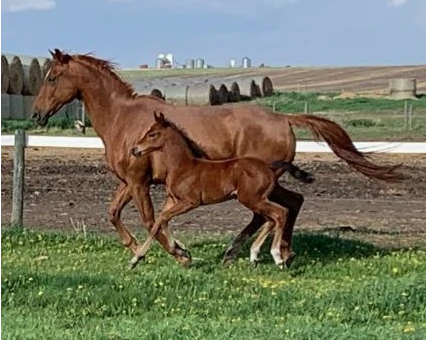 Screenshot 2023-02-13 at 10.53.44 AM.png