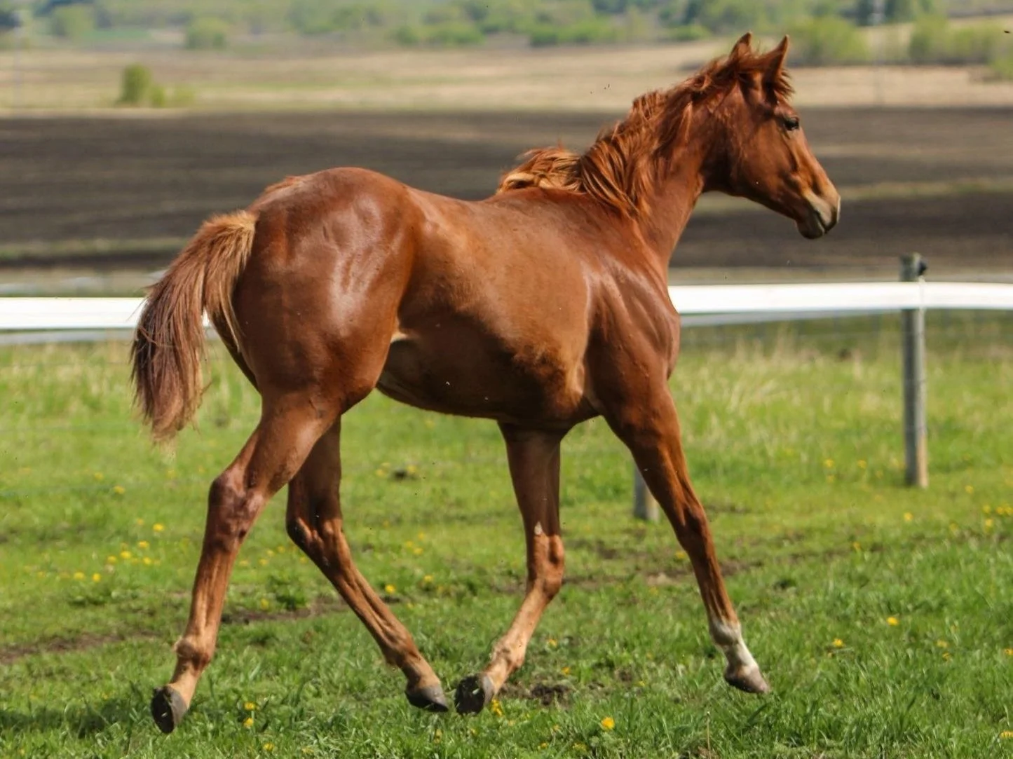 WhatsApp Image 2025-06-04 at 10.03.11.jpg