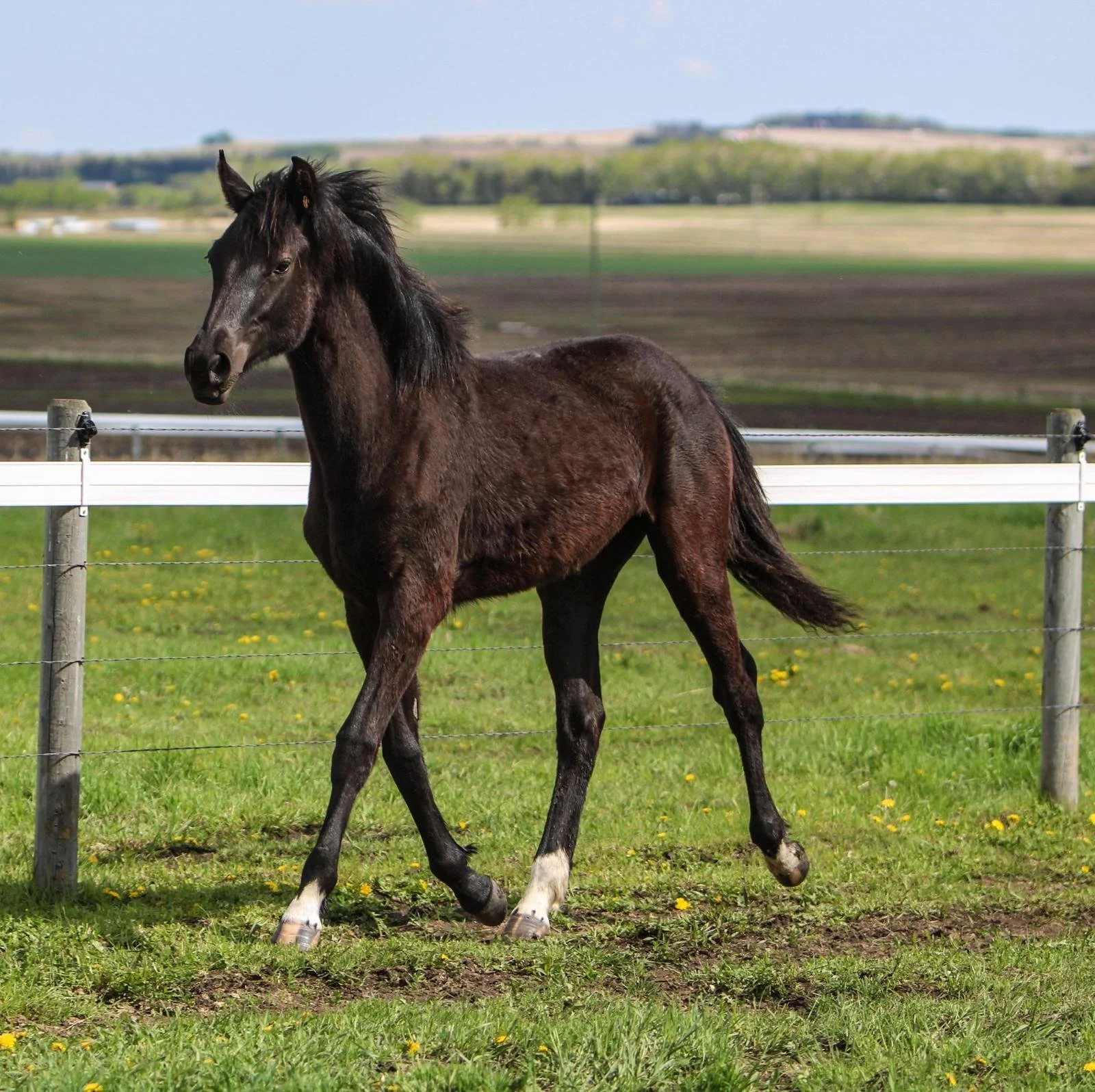 WhatsApp Image 2025-06-04 at 10.01.32.jpeg