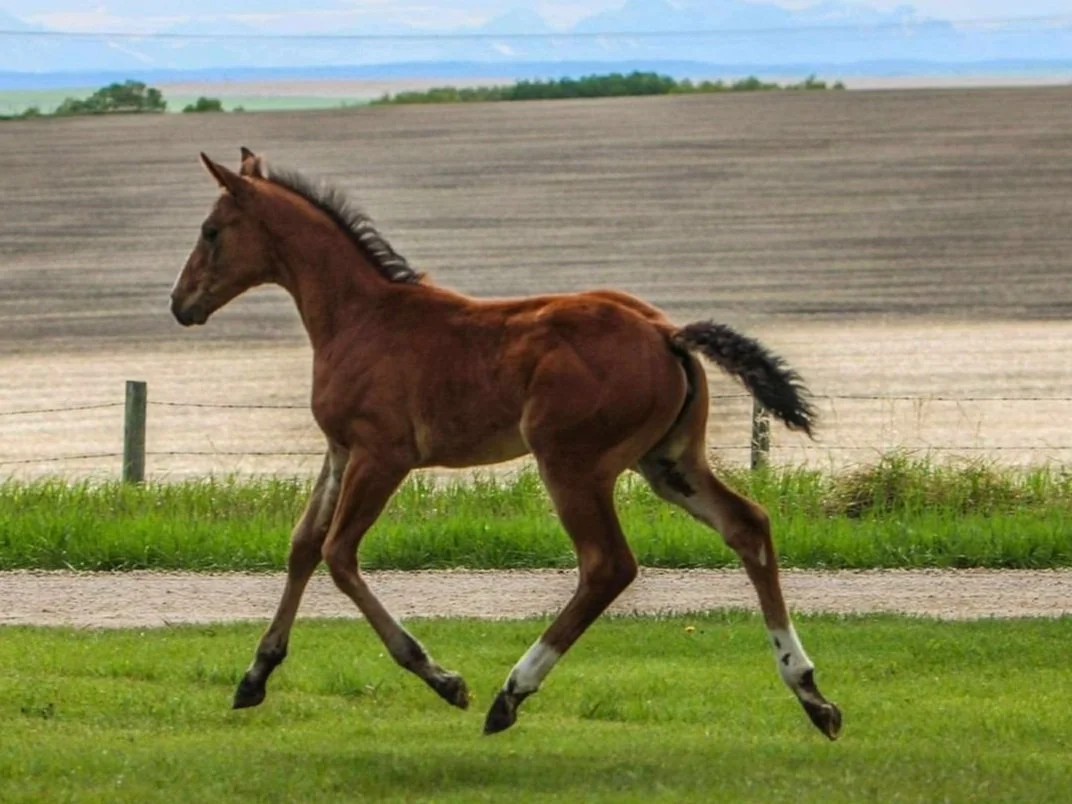 WhatsApp Image 2025-05-26 at 13.05.48.jpg