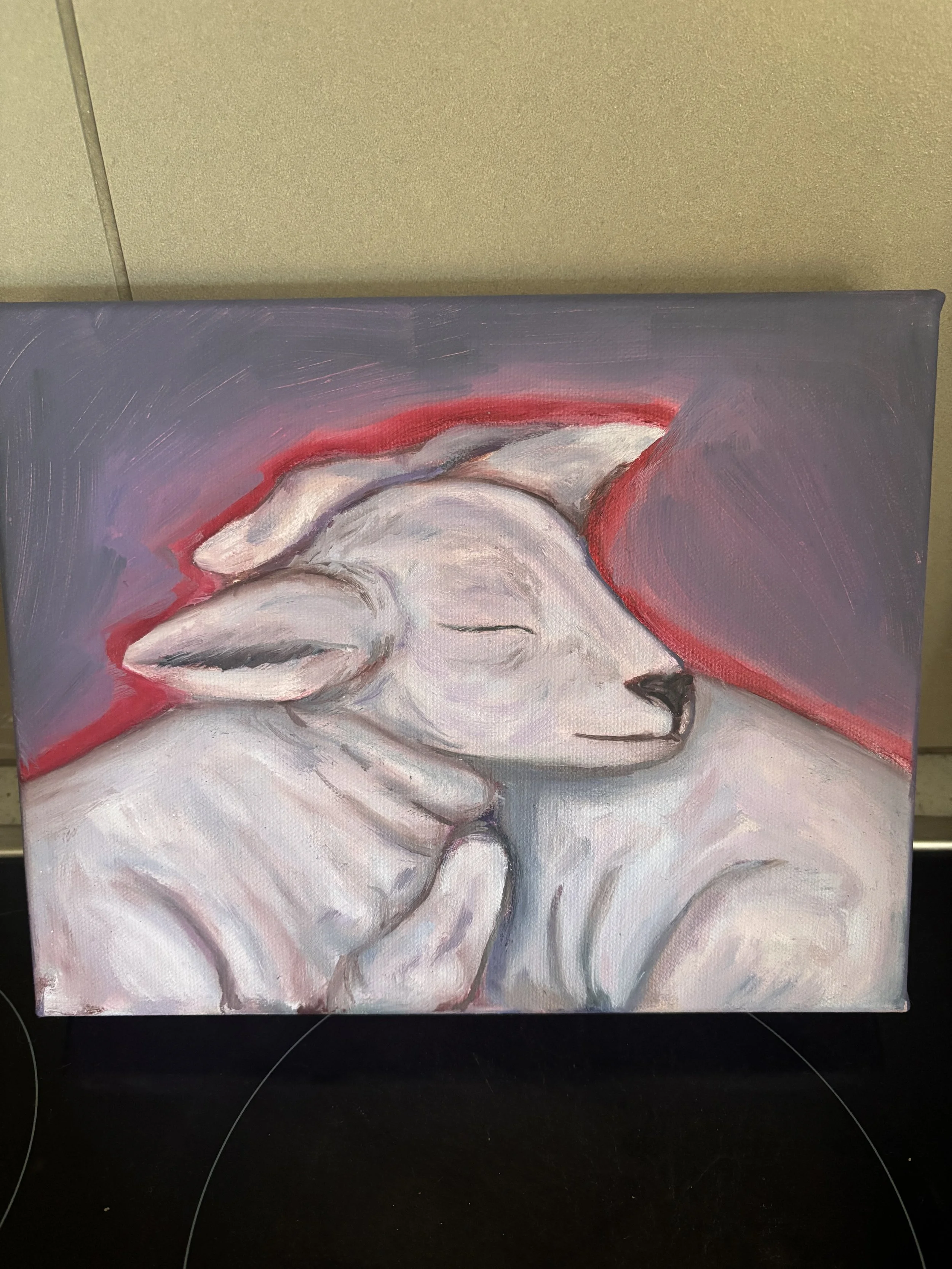 IMG_7673 - Cory.jpeg