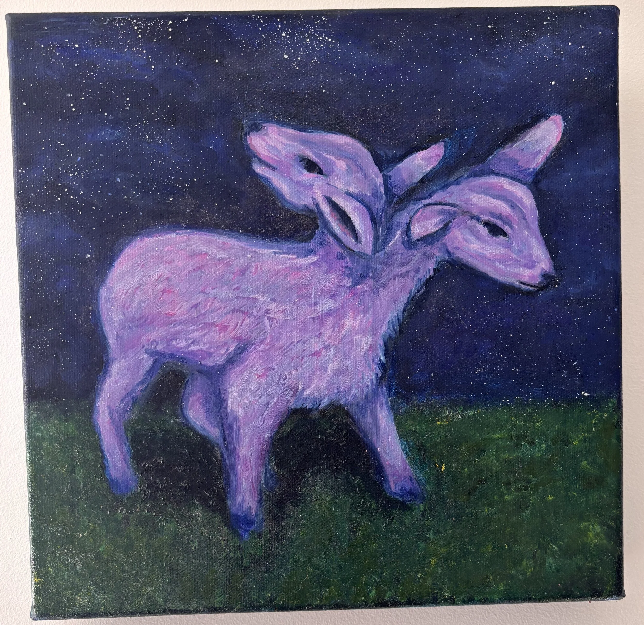 IMG_7666 - Cory.jpeg