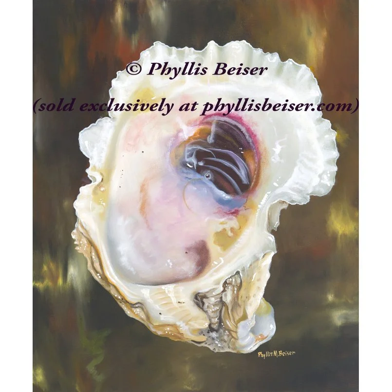 Dazzling Oyster Shell  (canvas print)