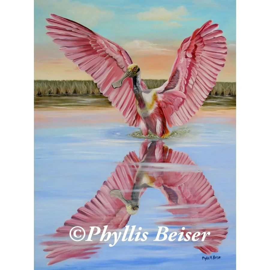 Rockport Roseate Spoonbill