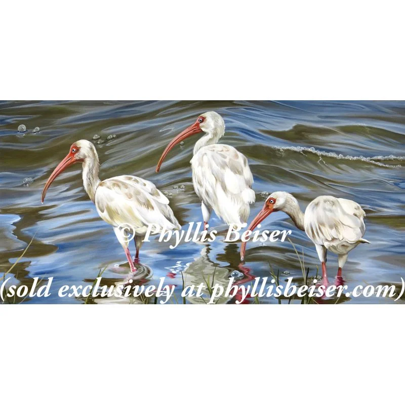 The Bayou's Edge  (CANVAS PRINT)