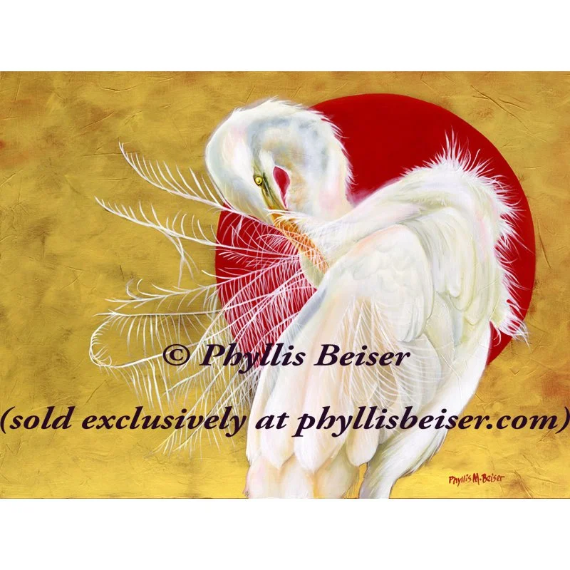 Jordon River Eclipse Egret