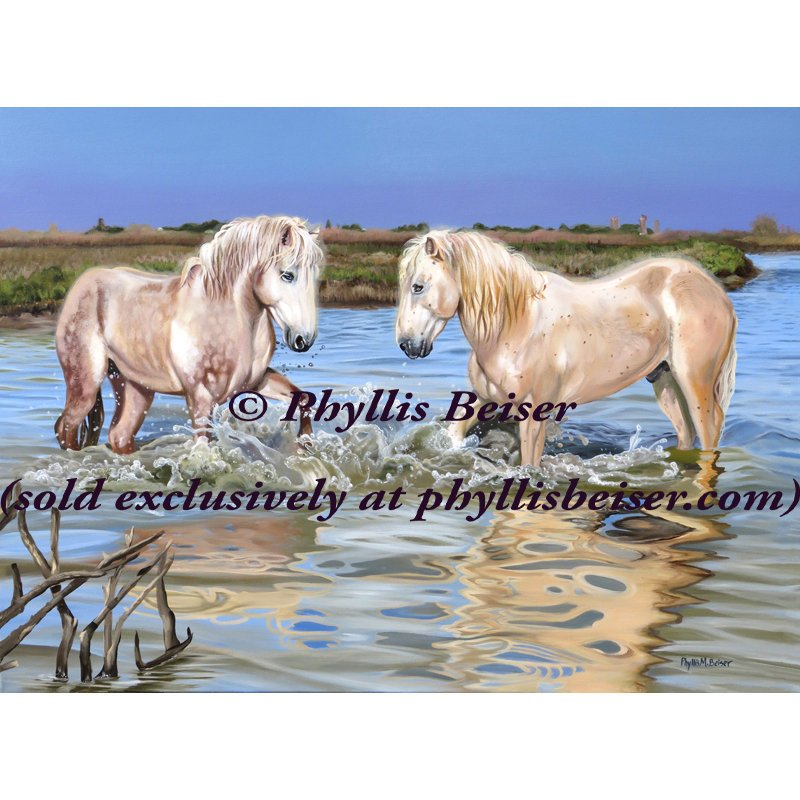 Outer Banks Showdown