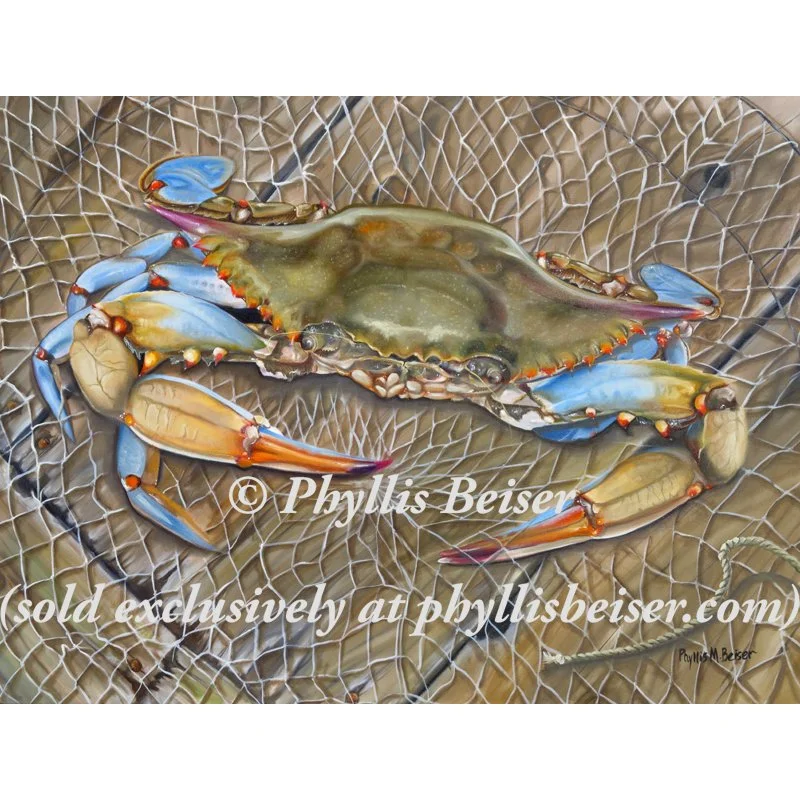 Crab In A Trap  (Canvas print)