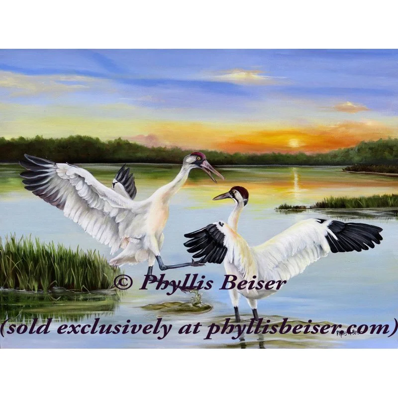 Sunrise Whooping Cranes