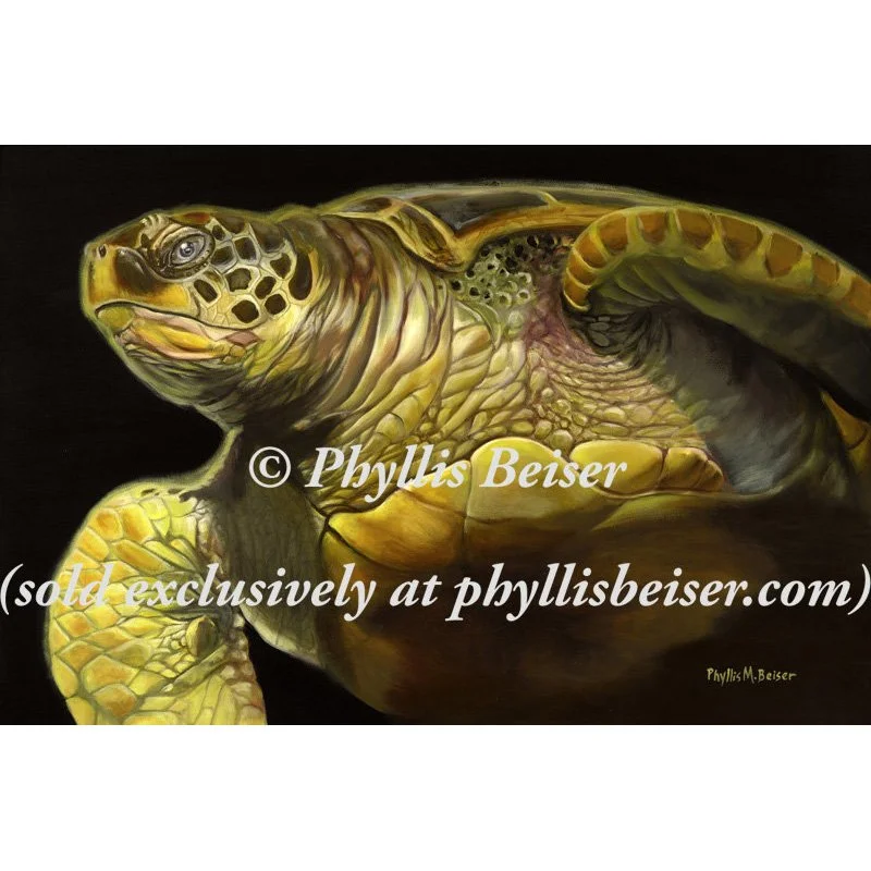 Ancient One  (CANVAS PRINT)