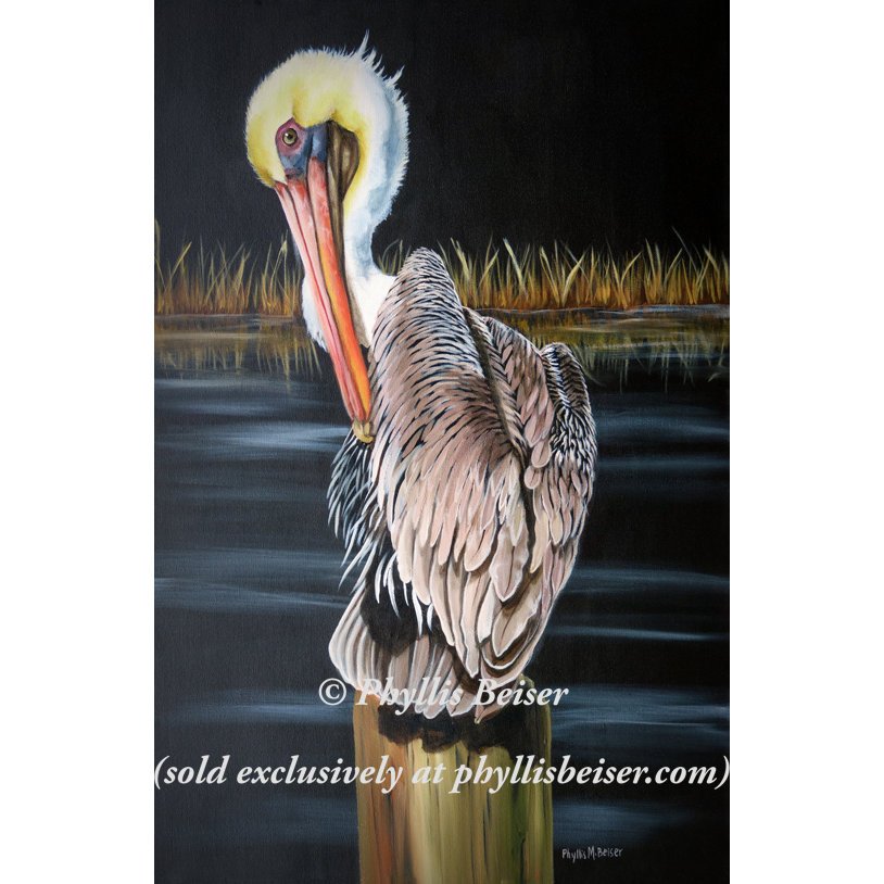 Claude The Pelican (canvas print)