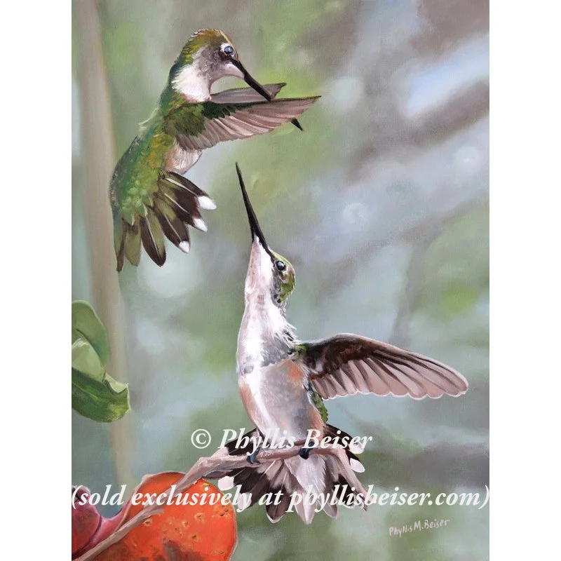 Richard's Joy  (CANVAS PRINT)