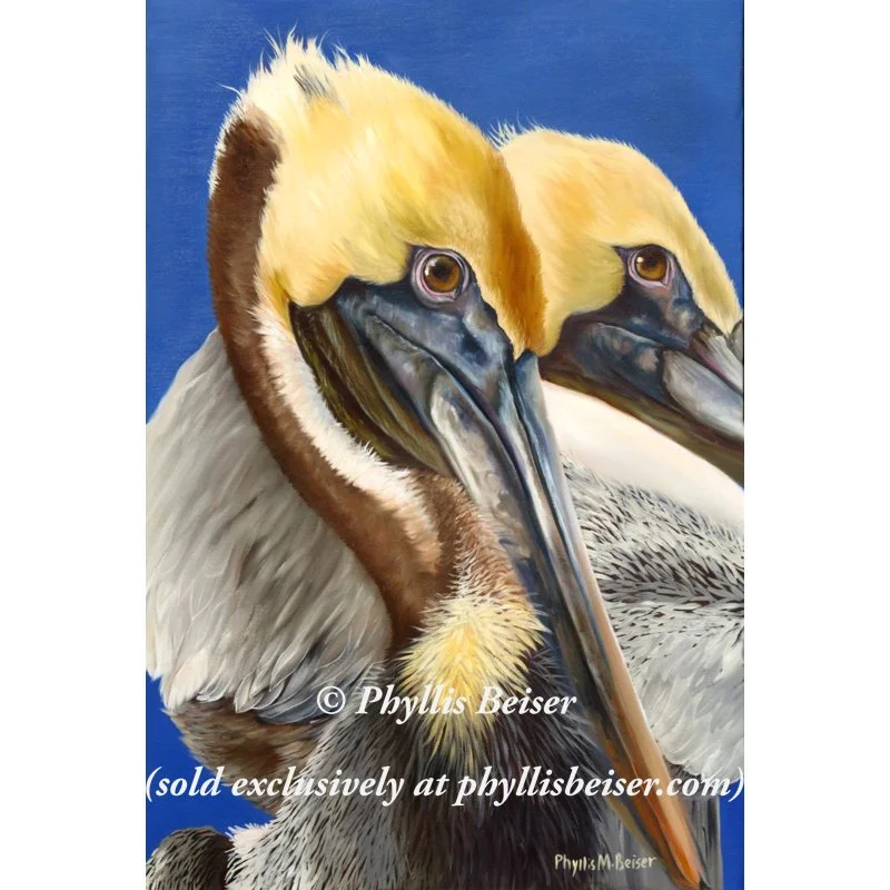 Portrait Of Two Pelicans