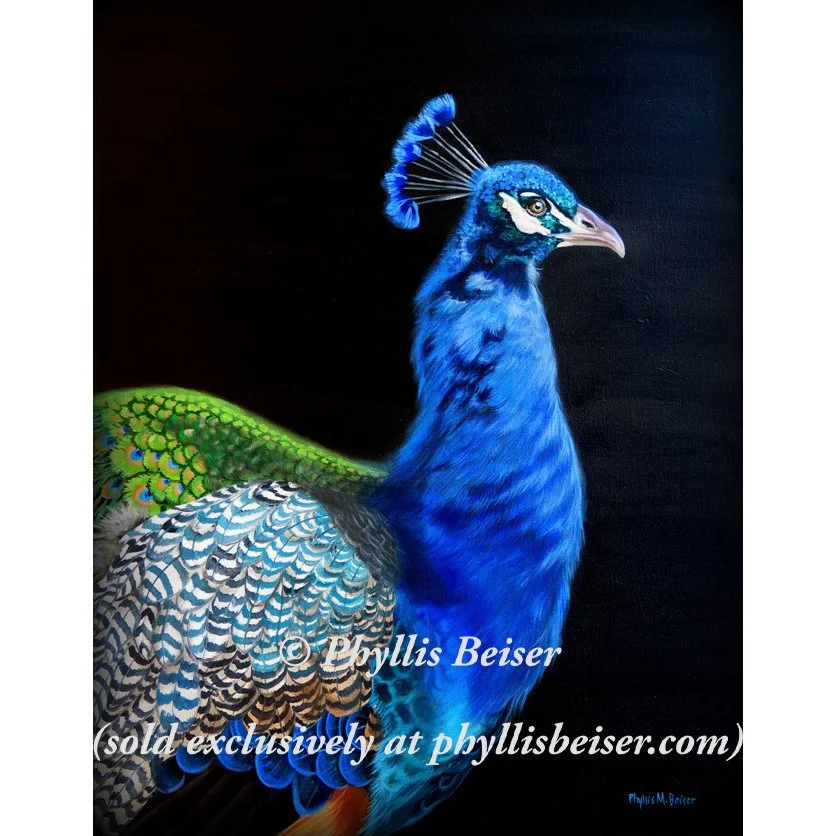 Beresheet (In The Beginning)