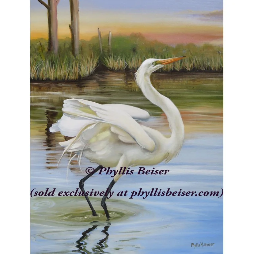 River Dance  (CANVAS PRINT)