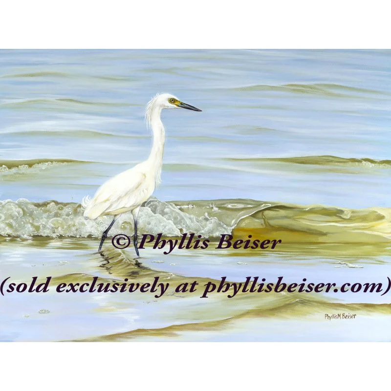 Illumination  (original)