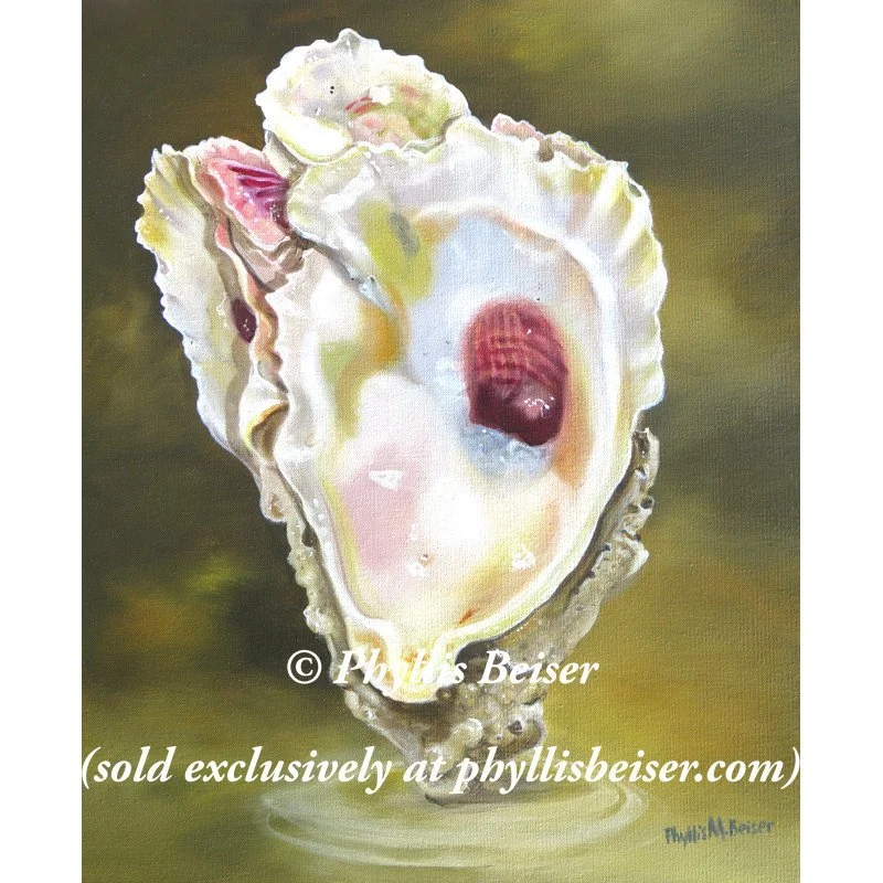 Three Fold Oyster Shells