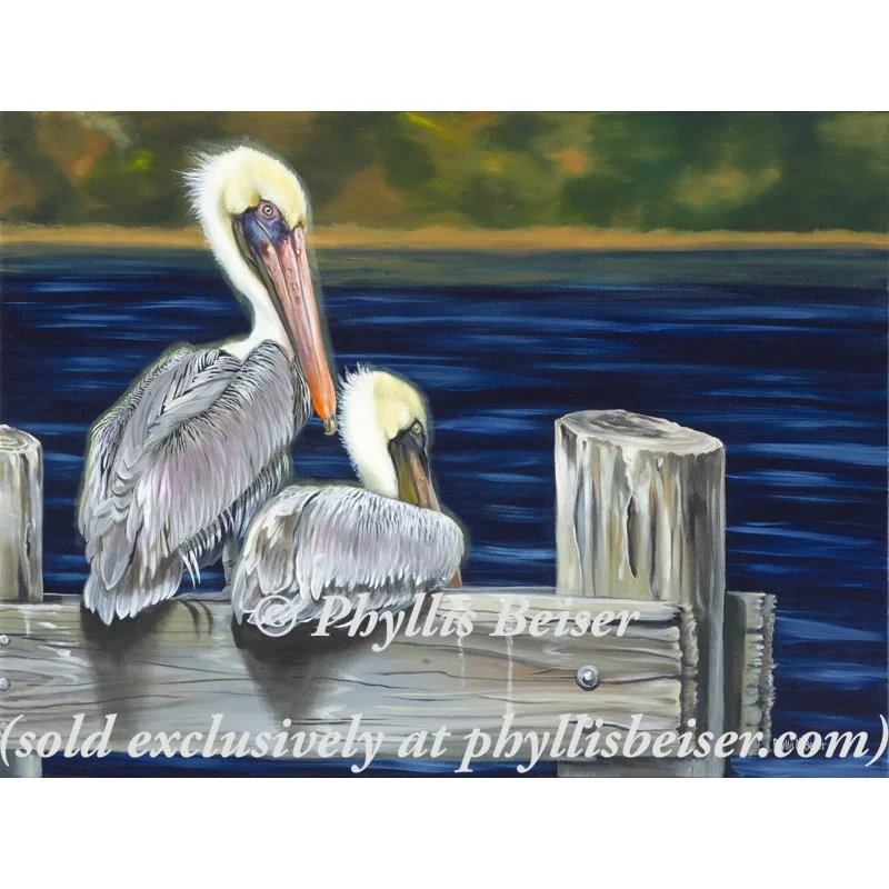 Indigo Waters Pelicans